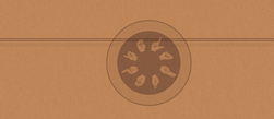 illustration  schutzumschlag
